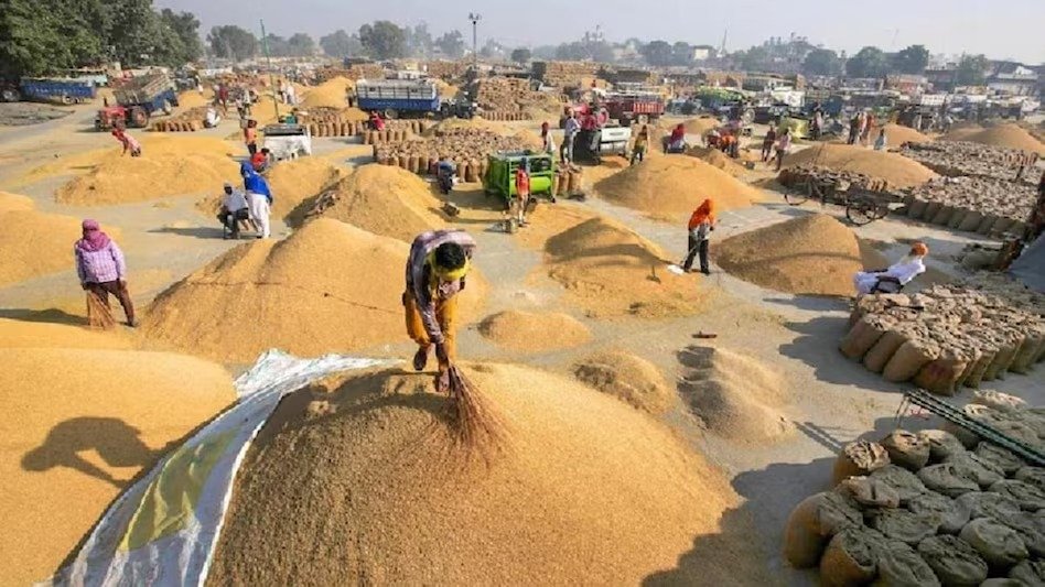 Dhan Kharidi : छत्तीसगढ़ में नवंबर से शुरू होगी धान खरीदी, CM साय ने किया ऐलान